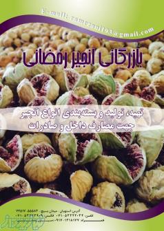 فروش عمده انجیر استهبان