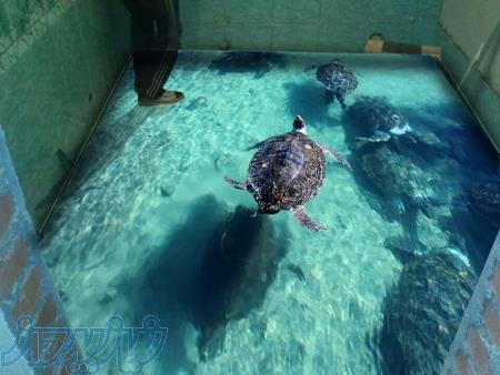 کفپوش های سه بعدی – استیکر- ساده 