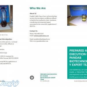 طراحی سیستم تصفیه فاضلاب صنایع دامداری