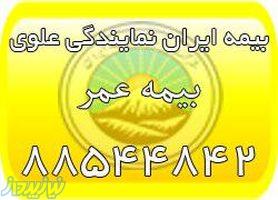 بیمه عمر ایران، بیمه عمر مان (بیمه ایران نمایندگی علوی)