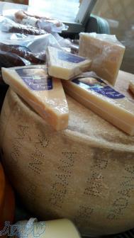پخش پنیر پارمسان 