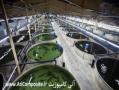 استخر پیش ساخته تانک حوضچه مخازن فایبرگلاس پرورش ماهی  - تهران