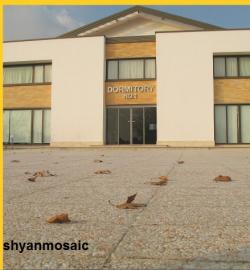 موزاییک واش بتن   جدول واش بتن   دوردرختی واش بتن و  - تهران