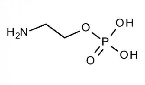 فسفر مایع فسفر محلول پاشی  کود فسفر فروت ست  - تهران
