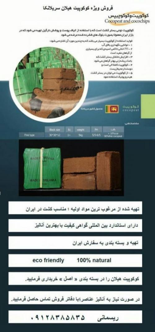 کوکوپیت بستر کشتی مناسب  - تهران