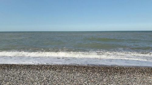 فروش 9000 متر زمین ساحلی در شمال 