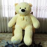 شاسخین زرد بزرگ پولیشی پاپیونی ارسال رایگان 