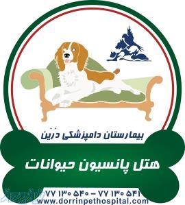 نگهداری وبستری  حیوانات بیمارستان دامپزشکی درین