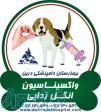 واکسیناسیون و انگل زدائی حیوانات بیمارستان دامپزشکی درین