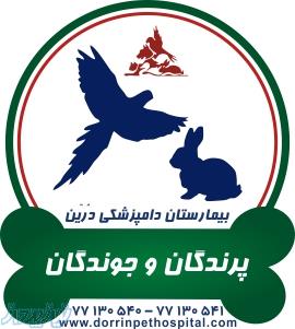 درمان پرندگاه و جوندگان بیمارستان دامپزشکی درین