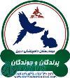 درمان پرندگاه و جوندگان بیمارستان دامپزشکی درین