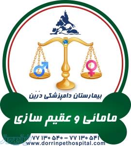 بخش مامائی وعقیم سازی حیوانات بیمارستان دامپزشکی درین