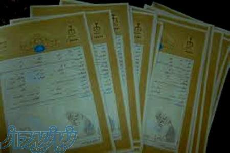 سند مسکونی تهران وشهرستان جهت مصوبات ترخیص و موجوداست