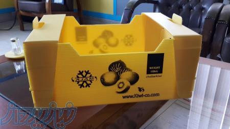 شرکت کارتن پلاست غرب 