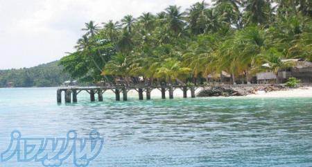 تورفیلیپین ویژه خرداد ماه