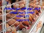 فروش فوری قفس مرغ تخمگذار دست دوم به قیمت مناسب