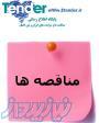 معنی کلمه ی مناقصه,روزنامه ی مناقصه