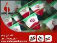 تولید کننده انواع ریسه پرچمی  - تهران