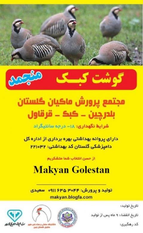 قیمت روز کبک  فروش کبک  گوشت کبک  کبک بالغ 