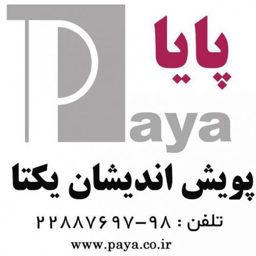 پایا (پویش اندیشان یکتا)  - تهران