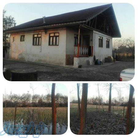 فروش زمین شالی هکتاری در استان گیلان 