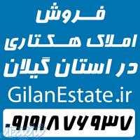 فروش املاک هکتاری در شرق استان گیلان 
