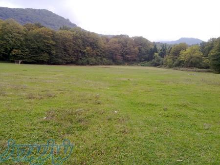 9400 متر زمین در ناهارخوران گرگان