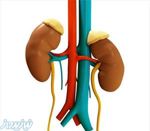 دکتر سهراب نقی زاده