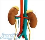 دکتر سهراب نقی زاده