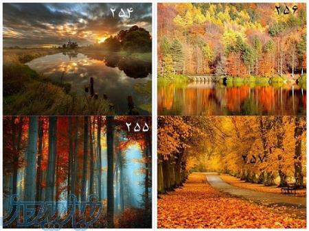 تابلوهای تزیینی چراغ دار یا تابلو خواب یا بک لایت 