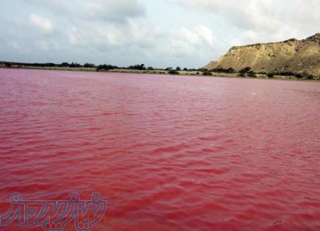 تور چابهار تا بم و کلوت های شهداد نوروز 99