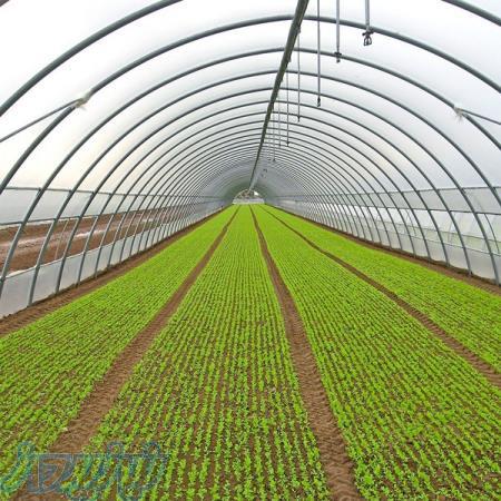 تولید و قیمت ورق پلی کربنات