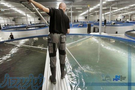 استخر پرورش آبزیان ( ماهی   میگو   خاویار )   (شیلات) 