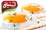 فروش تخم مرغ خوراکی