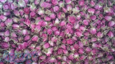 خرید وفروش گیاهان دارویی 