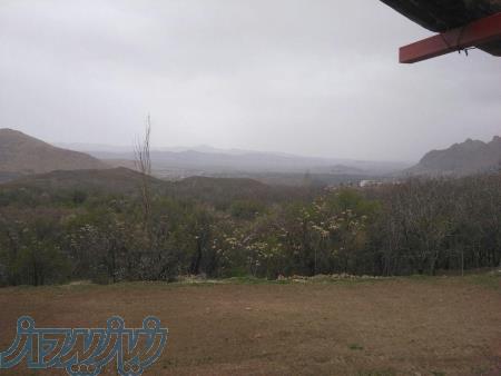 فروش زمین زیر قیمت در نیاسر(شهر گل و گلاب) کاشان 