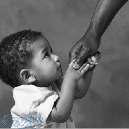 شبکه ملی همیاران 