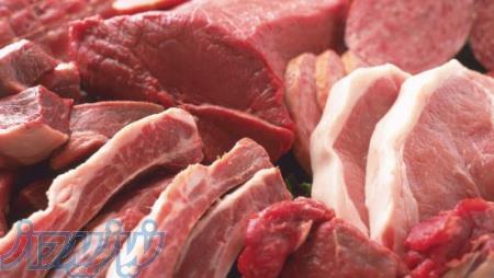 فروش عمده گوشت برزیلی و ایرانی منجمد