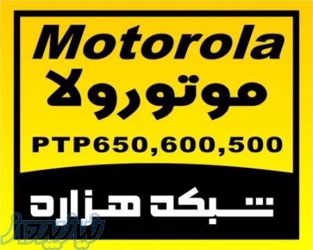 فروش ویژه موتورولا PTP600 - PTP 500 - PTP650 