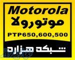 فروش ویژه موتورولا PTP600 - PTP 500 - PTP650 