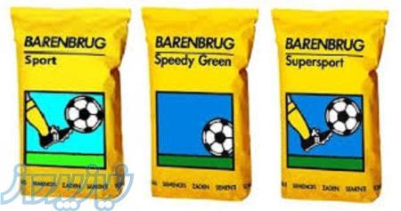 بذر چمن بارنبوروگ 09195284072