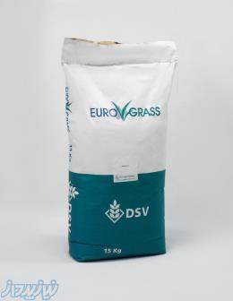 بذر چمن یوروگراس هلند، بذر چمن فستوکا، بذر چمن واترسیور هلندی 09195284072