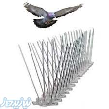 شاخک های دفع پرنده