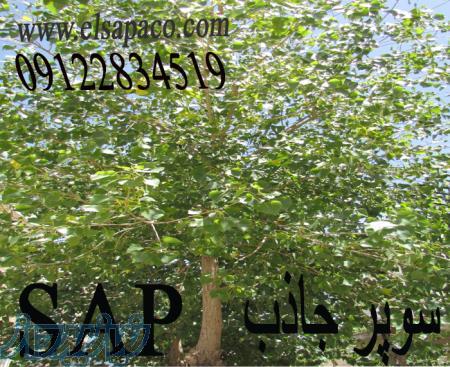 SAP - سوپر جاذب کشاورزی 