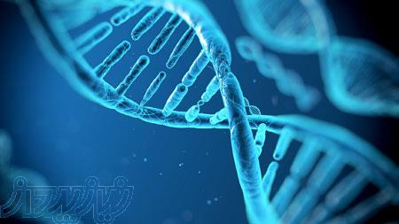 مدرس و دبیر زیست - دبیرستان – کنکور- – تدریس خصوصی زیست 