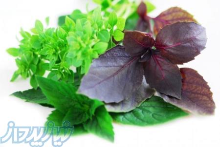 سبزیجات خشک 