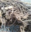 فروش عمده چوب مرکبات جنوب کشور 