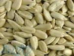 فروش مغز تخمه افتاب گردان و کدو