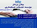 بیلان پرداز ( موسسه خدمات حسابداری و حسابرسی )  - تهران