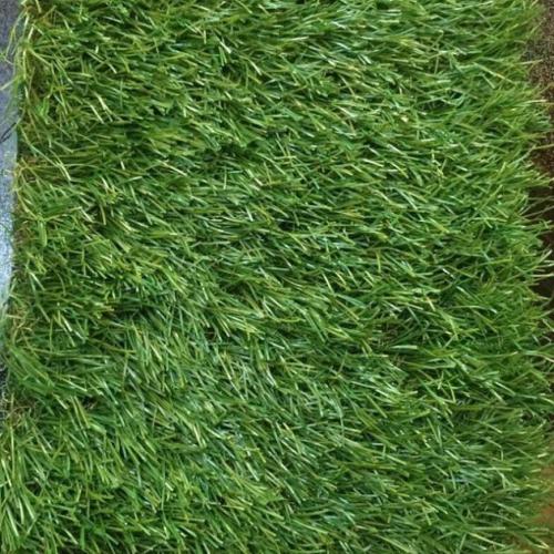 چمن مصنوعی تزیینی وفوتبالی  - تهران